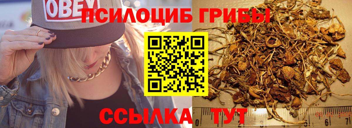 Псилоцибиновые грибы GOLDEN TEACHER  Вход с VPN  Нижнекамск 