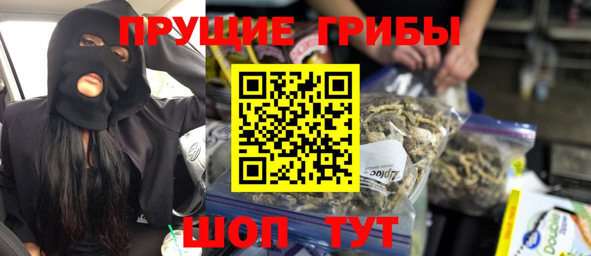 Галлюциногенные грибы Psilocybe Нижнекамск